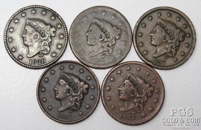 Picture of Liberty Head Large Cents - 1828-Lg Date, 1837-Sm Letters x2, 1837 x2  (5pcs)
