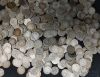 Picture of Assorted 1892-1916 Barber Dimes 10c ($50FV/500pcs)