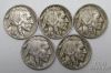 Picture of 1938-D Buffalo Nickels 5c (17pcs) 