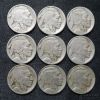 Picture of Assorted 1913-1931 Buffalo Nickels 5c (36pcs) Better Dates