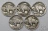 Picture of Assorted 1913-1931 Full Date Buffalo Nickels 5c (13pcs) Better Dates
