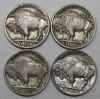 Picture of Assorted 1913-1935 Buffalo Nickels 5c (12pcs) Better Date/Better Grade