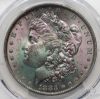 Picture of 1883-O MS64 PCGS Morgan Silver Dollar $1 - Monster Rainbow Toned 