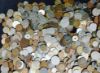 Picture of 26.55lbs Assorted World/Foreign Coins 